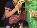 Người phụ nữ tiên phong trồng sâm ở Măng Ri