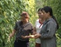 Hội LHPN huyện Đăk Hà hỗ trợ phụ nữ khởi nghiệp