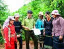 Khi phụ nữ tham gia quản lý, bảo vệ rừng