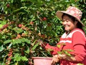 Phụ nữ Kon Plông: Chung tay xây dựng nông thôn mới
