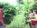Chuyên mục phụ nữ và cuộc sống 24/12/2019: Phụ nữ Kon Tum chung tay bảo vệ môi trường