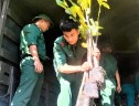 Hội LHPN tỉnh Bến Tre hỗ trợ 3 nghìn cây giống cho hội viên, phụ nữ xã biên giới Đăk Long