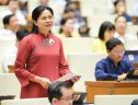 Chủ tịch Hội LHPN Việt Nam nêu 5 đề xuất vào dự thảo Luật Phòng, chống bạo lực gia đình (sửa đổi)